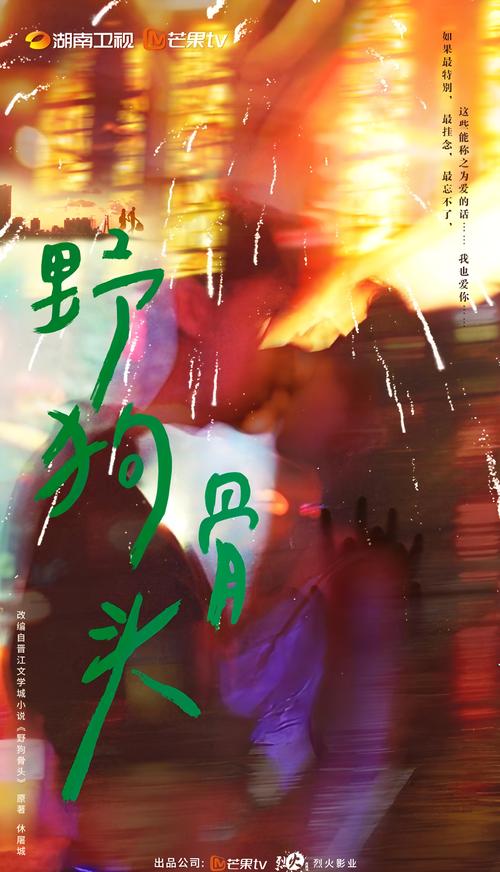 【国剧】野狗骨头【宋威龙 张婧仪】