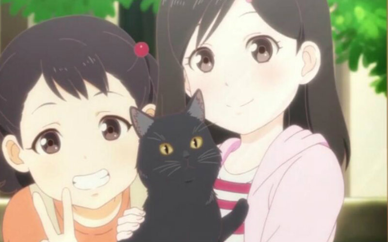 她和她的猫 番剧版